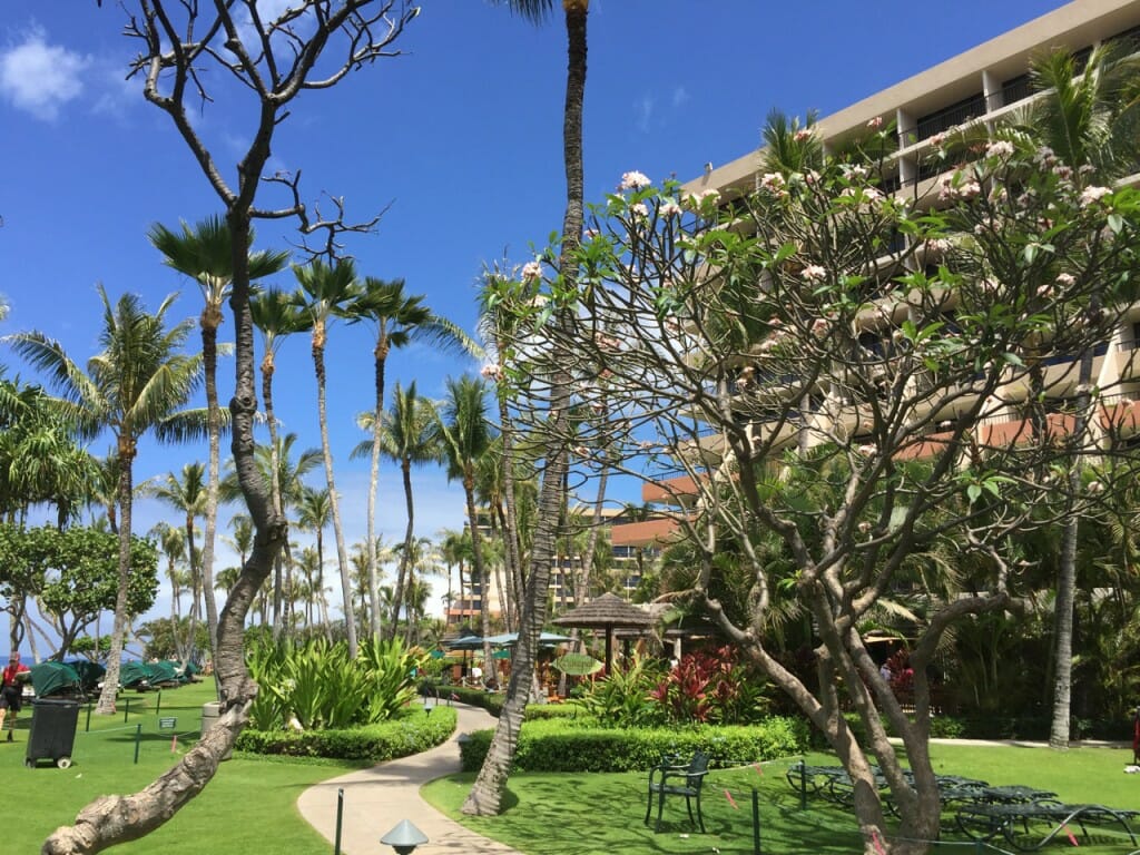 Marriott's Maui Ocean Club