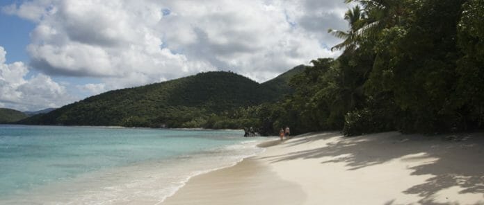 a beach with trees and mountains in the background