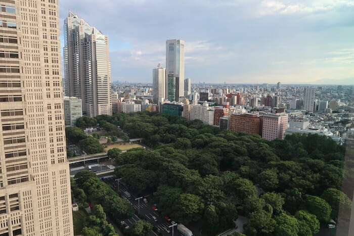 a city with trees and buildings