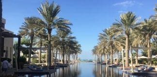a water way with palm trees and a row of umbrellas
