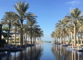 a water way with palm trees and a row of umbrellas