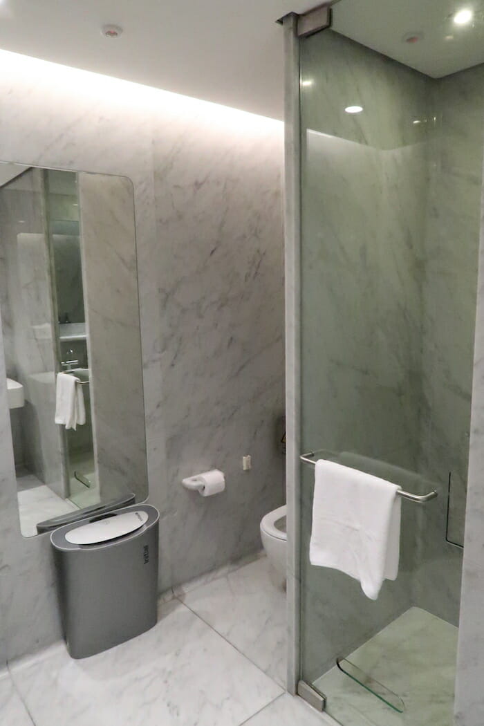 a bathroom with a toilet and a mirror