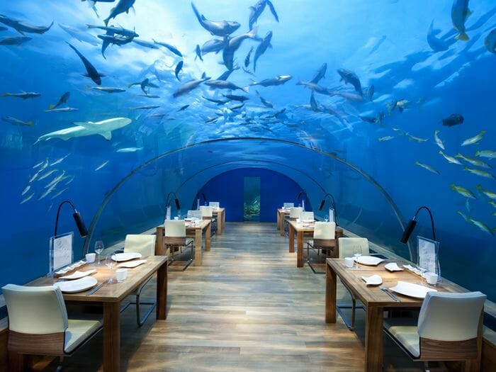 a restaurant with tables and chairs under water