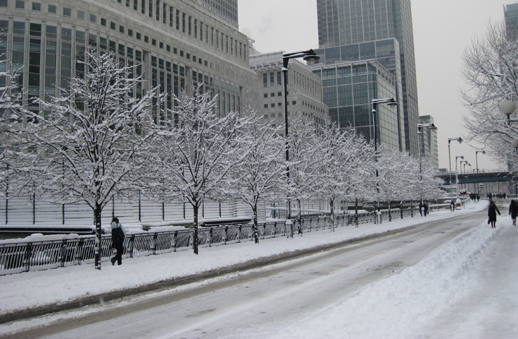 a snow covered street with trees and buildings
