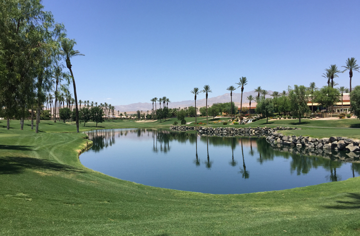 a pond with palm trees and a blue sky