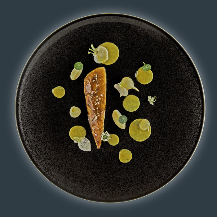 a plate of food on a grey background