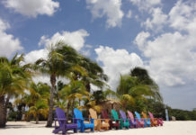 a row of colorful chairs on a beach