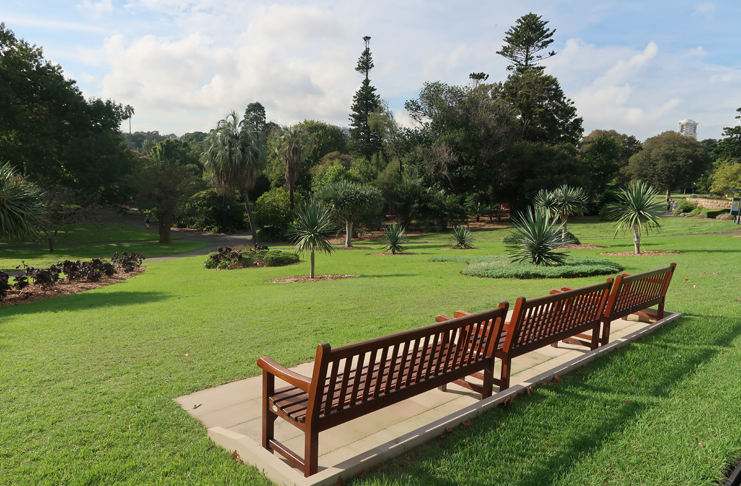 a park with benches and trees