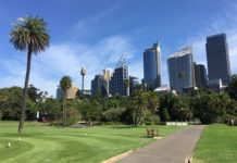 a park with a walkway and a city skyline