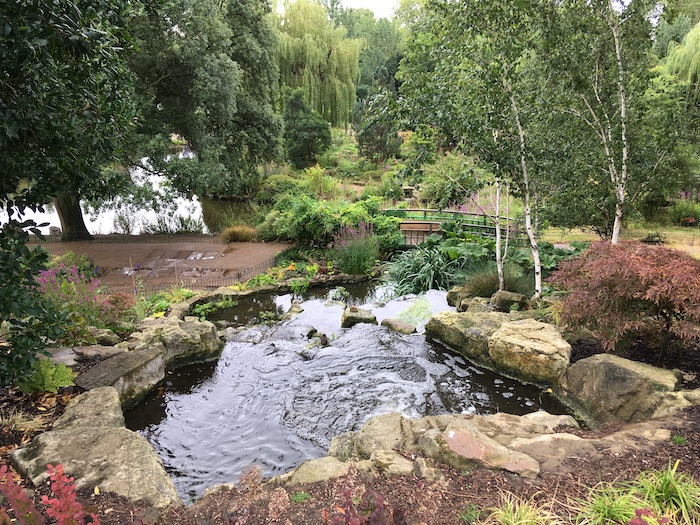 a pond with rocks and trees