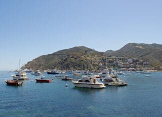 boats in a harbor with a city in the background