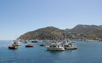 boats in a harbor with a city in the background