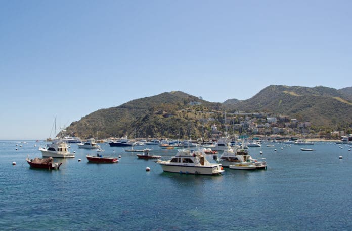 boats in a harbor with a city in the background