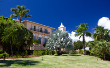 a house with palm trees and a lawn