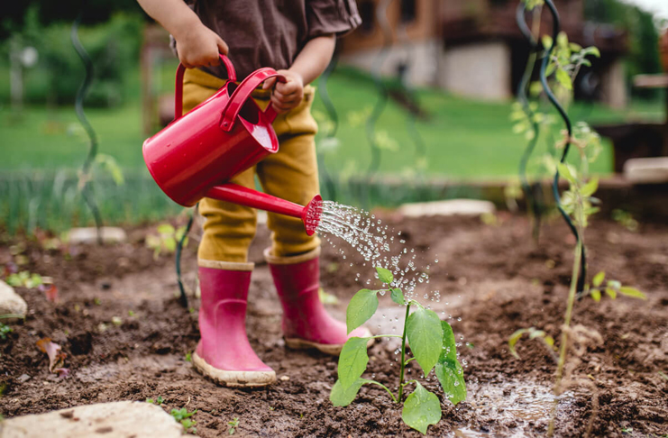 a child watering a plant