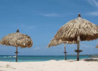 a group of straw umbrellas on a beach