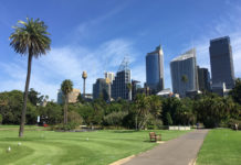 a park with a park and a city skyline
