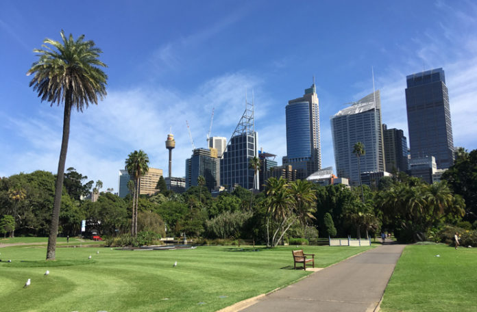 a park with a park and a city skyline