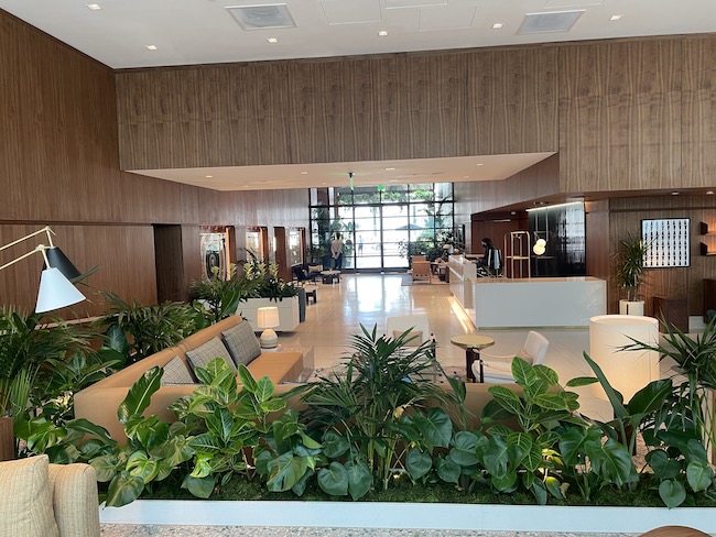 a lobby with plants and a large window