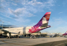 a plane with a floral design on the tail