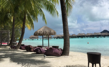 a beach with palm trees and chairs and umbrellas