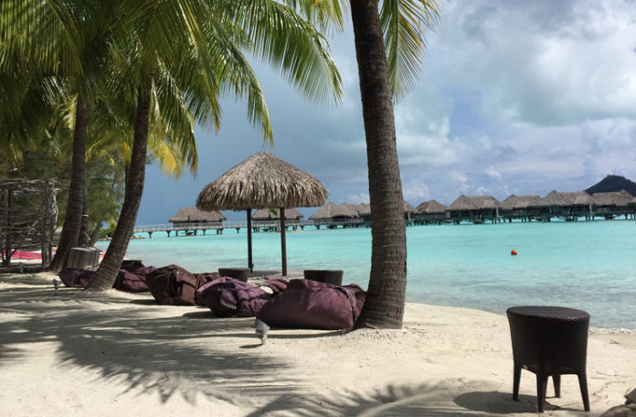 a beach with palm trees and chairs and umbrellas