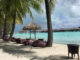 a beach with palm trees and chairs and umbrellas