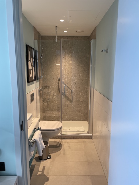 a bathroom with a shower and toilet