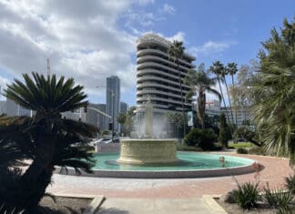 a fountain in a park with palm trees and buildings in the background