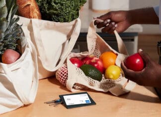 a person holding an apple and a bag of fruit