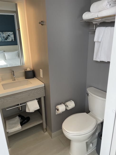 a bathroom with a sink and toilet