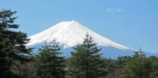a snow covered mountain with trees in front of it