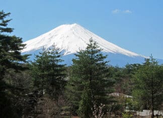 a snow covered mountain with trees in front of it