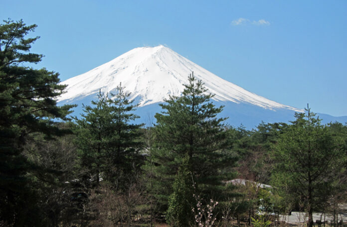 a snow covered mountain with trees in front of it