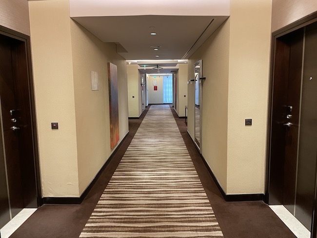 a hallway with brown carpet and doors