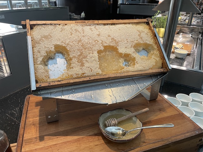 a honeycomb frame with honeycombs on a wooden surface