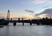 a bridge over a body of water with a ferris wheel in the background