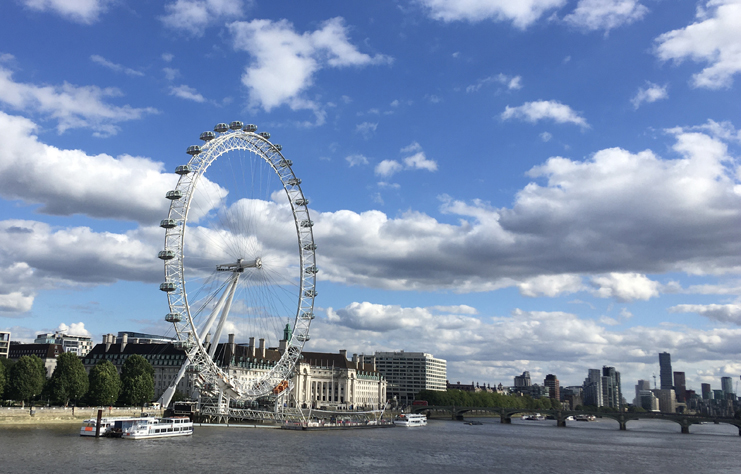 a ferris wheel next to a body of water