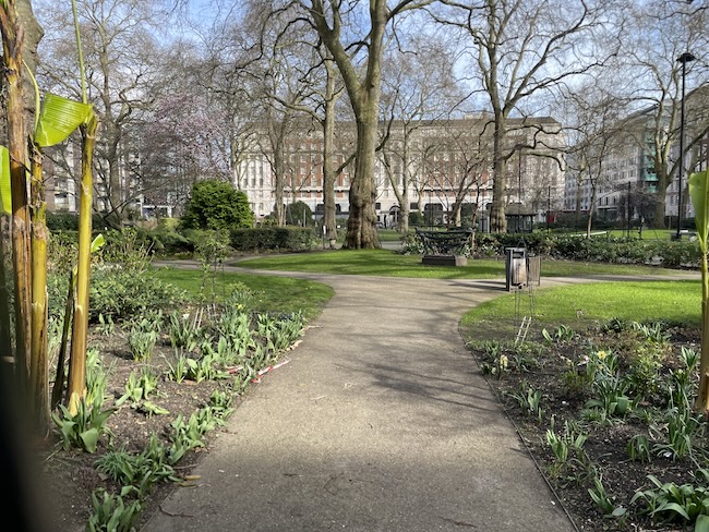 a path in a park with trees and plants