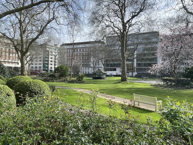 a park with trees and buildings