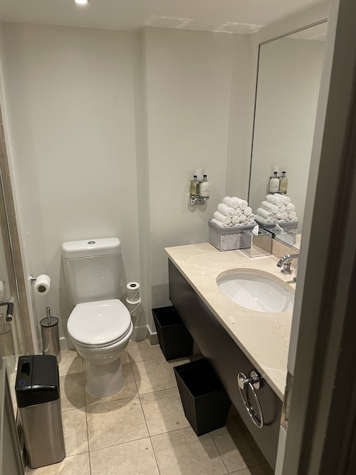 a bathroom with a sink and toilet