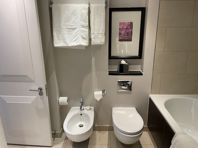 a bathroom with a toilet and bathtub