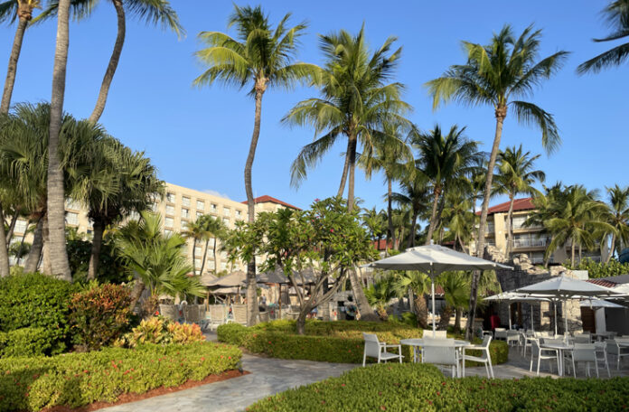 a group of palm trees and a building