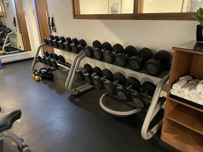 a rack of dumbbells in a gym