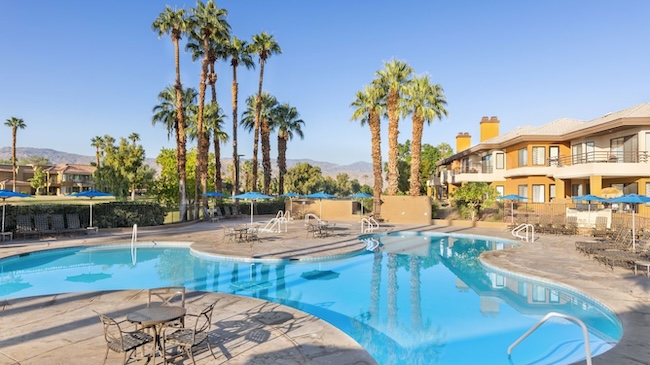 a swimming pool with palm trees and a building