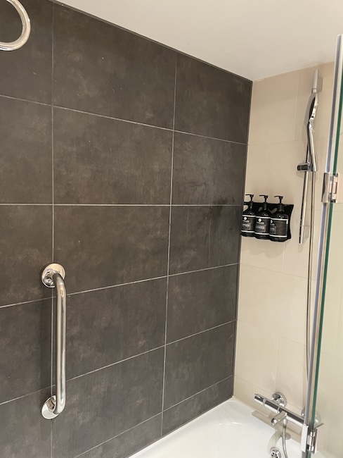 a shower with a handrail and a shower head