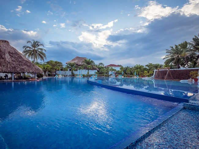 a pool with a thatched roof and palm trees