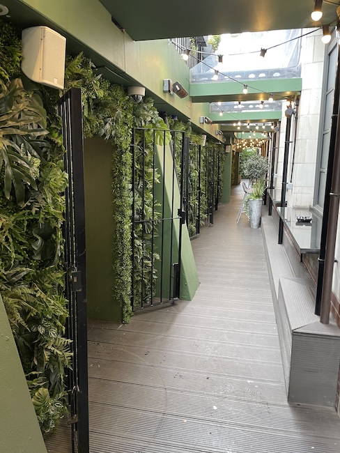 a walkway with plants on the wall