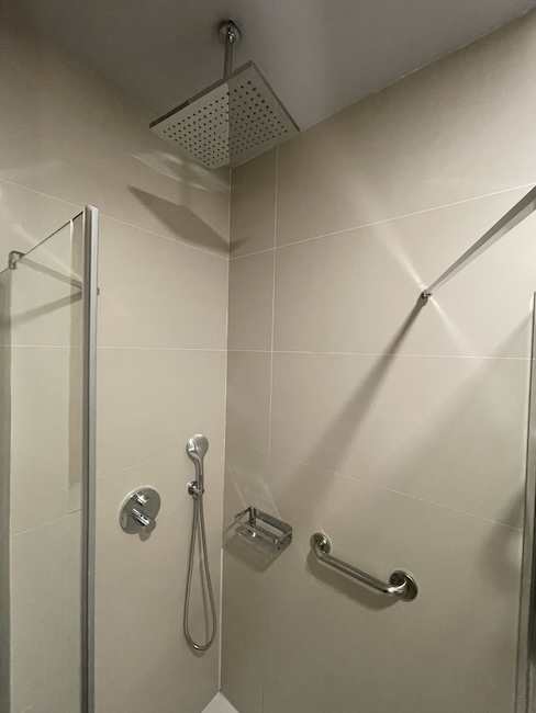 a shower with a shower head and hand shower