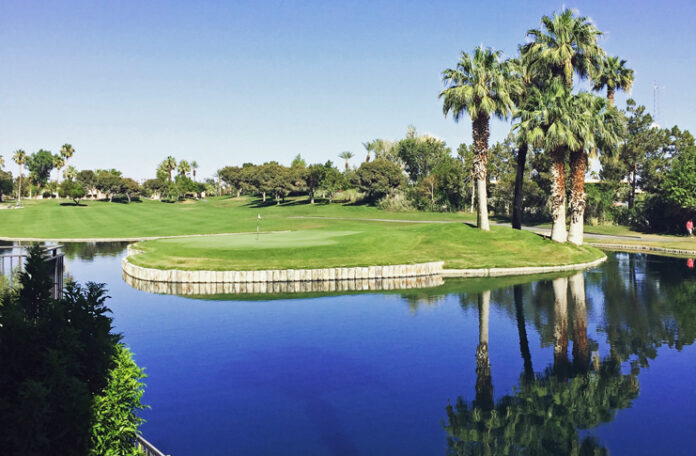 a golf course with a pond and palm trees